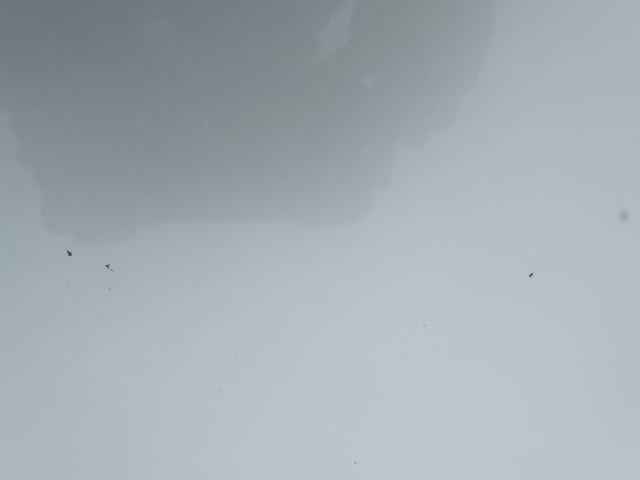 283.jpg