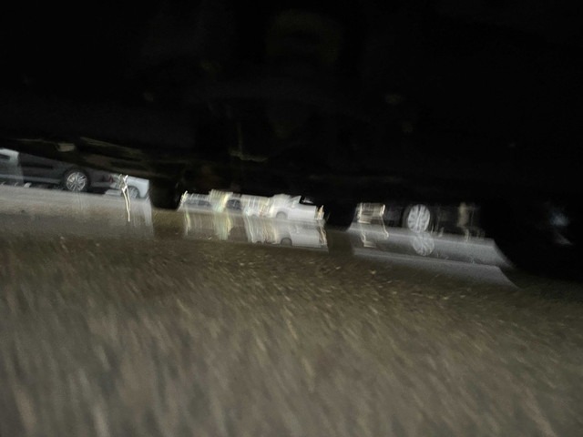 303.jpg