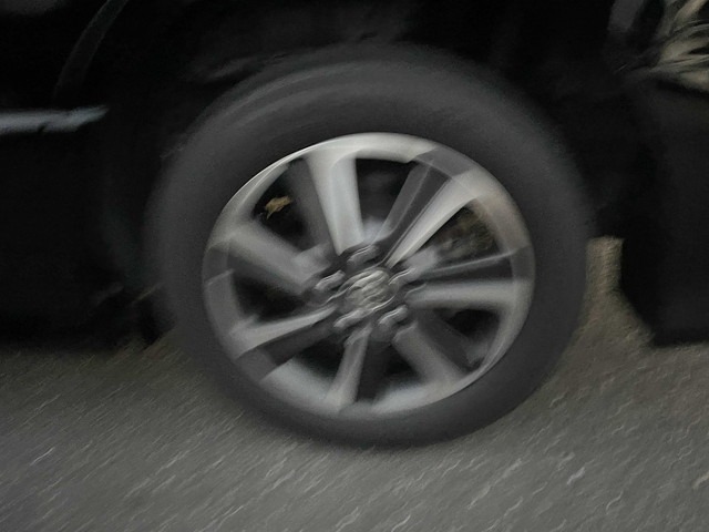306.jpg