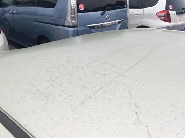 282.jpg