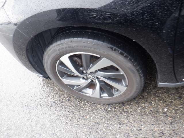 25.jpg