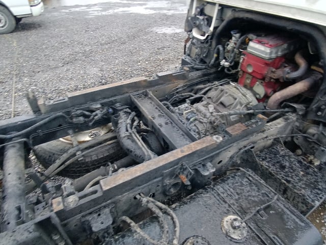 286.jpg