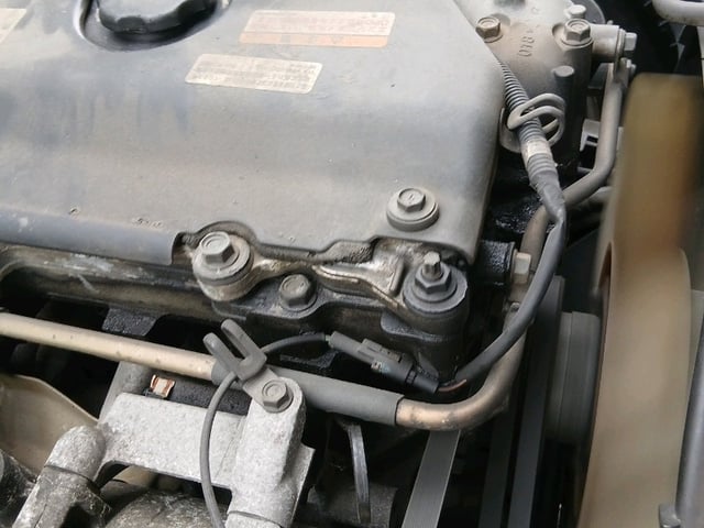 289.jpg