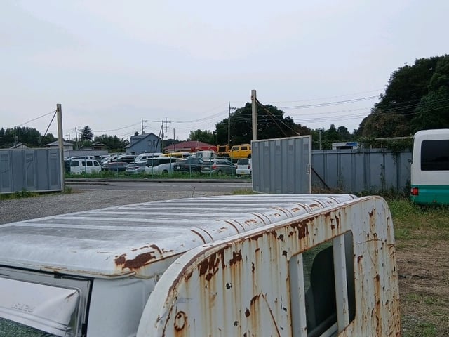 290.jpg