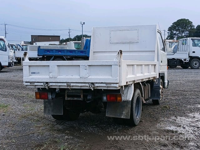 41.jpg