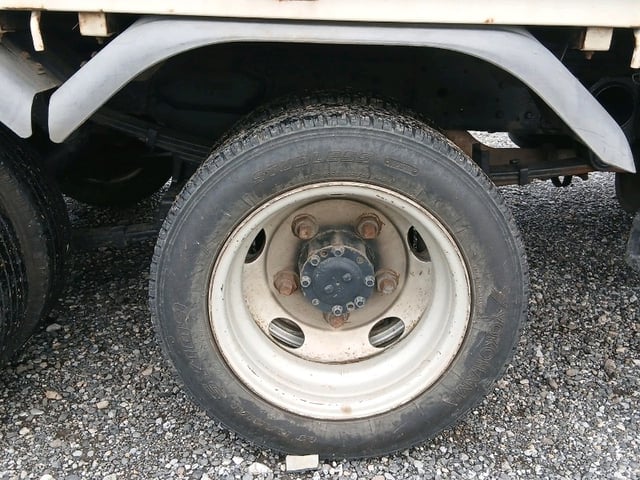 286.jpg