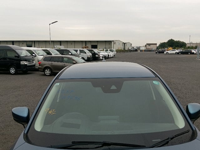 287.jpg