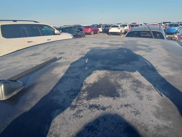 281.jpg