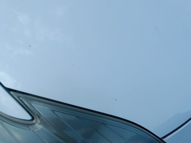 280.jpg
