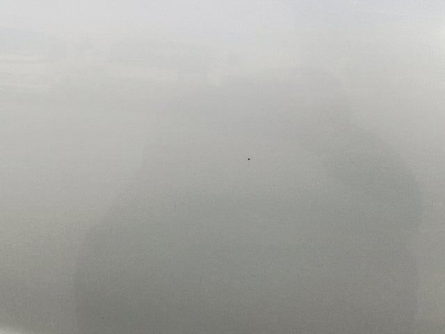283.jpg