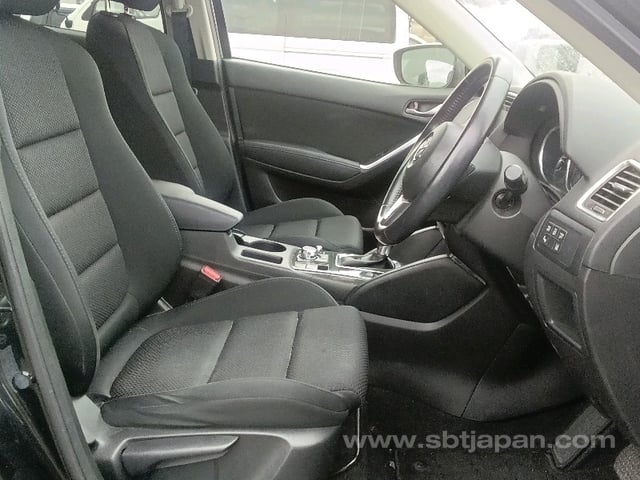 12.jpg