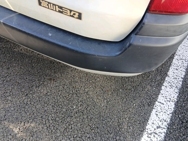 280.jpg