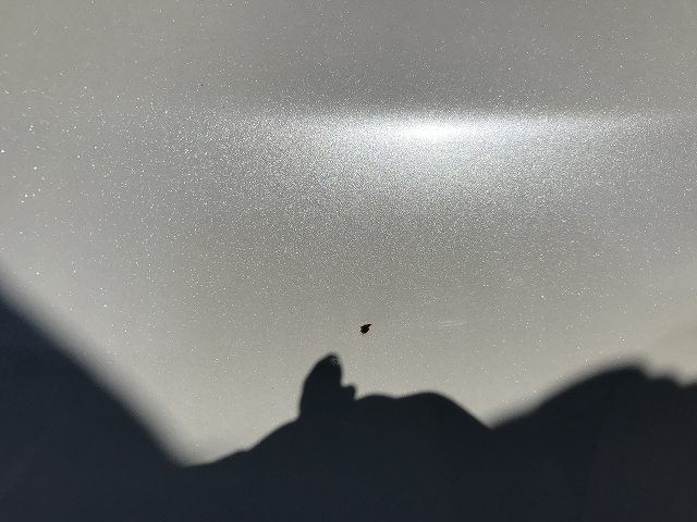 280.jpg