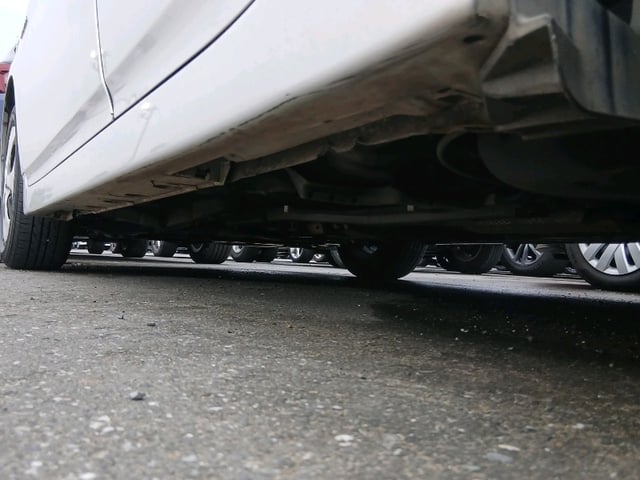 290.jpg