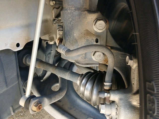 283.jpg