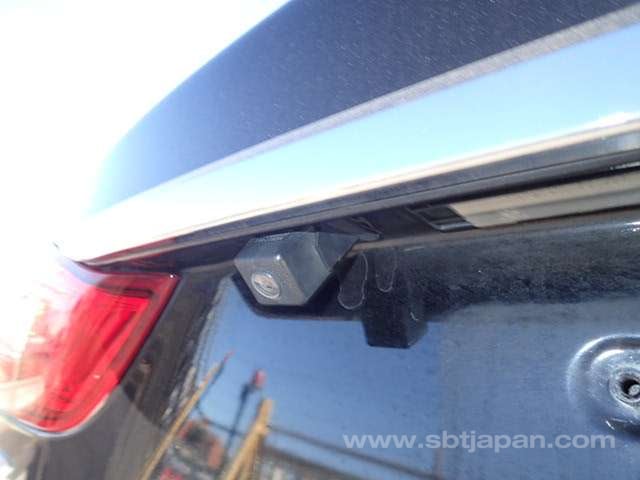 44.jpg