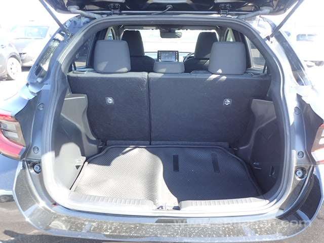 41.jpg