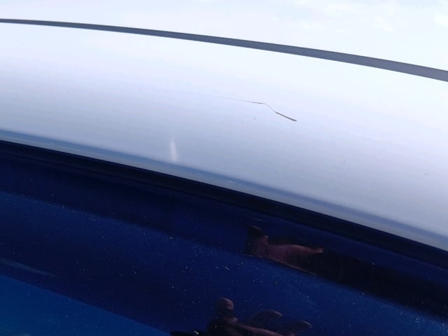 286.jpg
