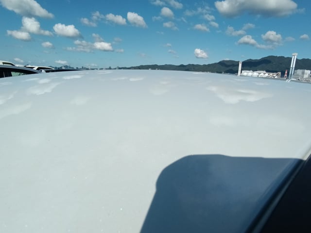 281.jpg