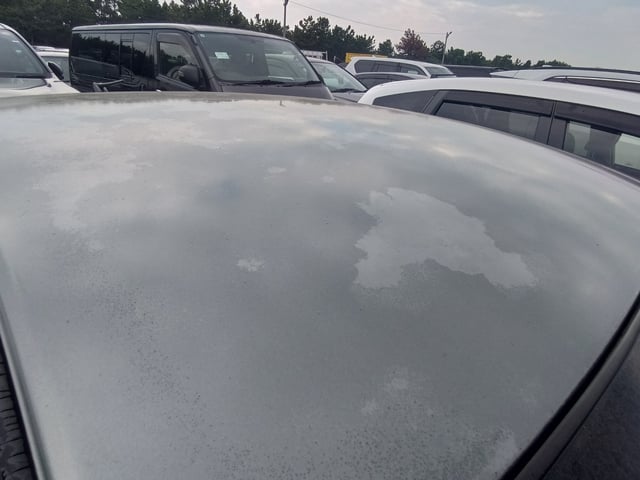 282.jpg