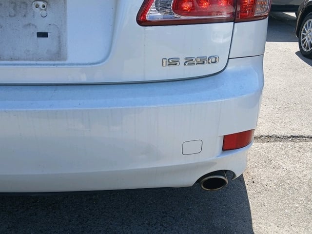 286.jpg