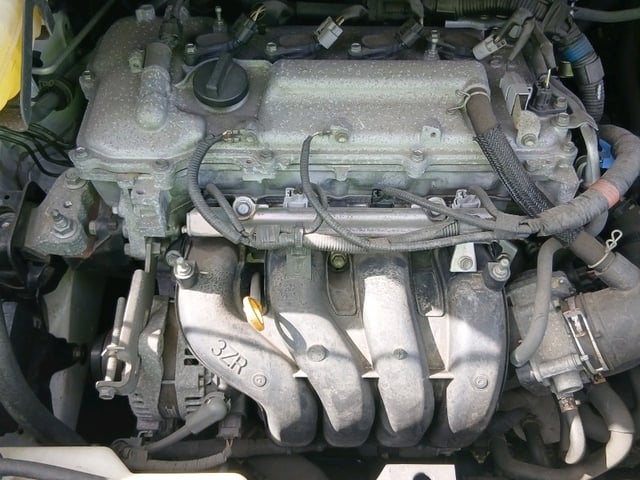 286.jpg