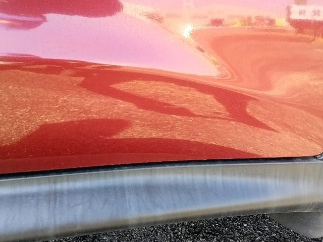 280.jpg