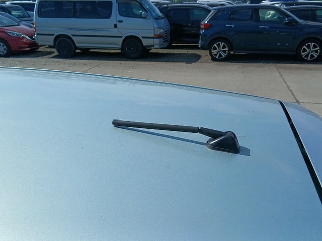 289.jpg