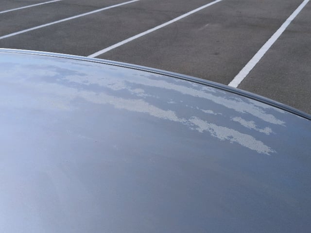 281.jpg