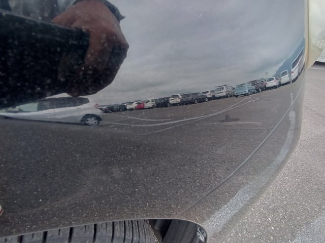 280.jpg