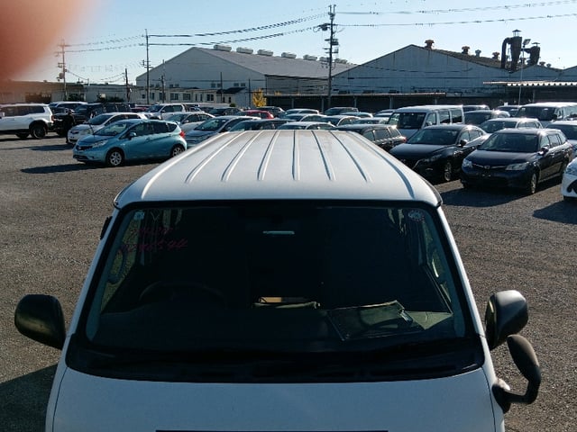 303.jpg