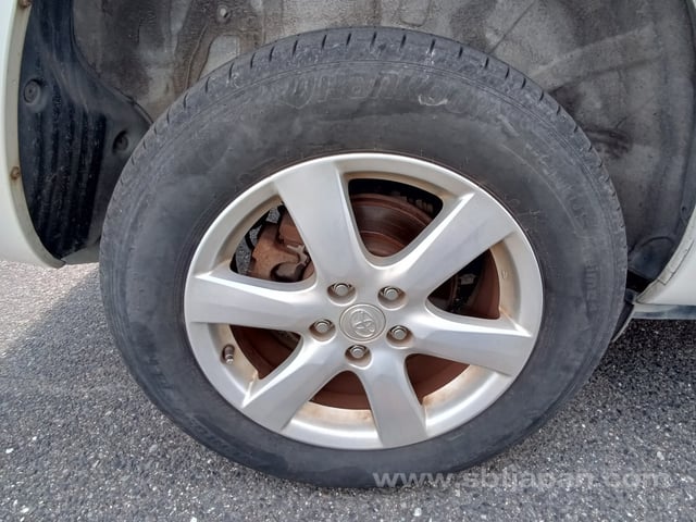 31.jpg