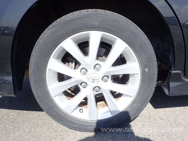 41.jpg