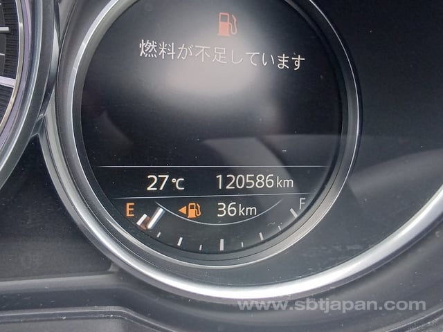 19.jpg