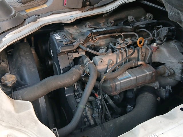 286.jpg