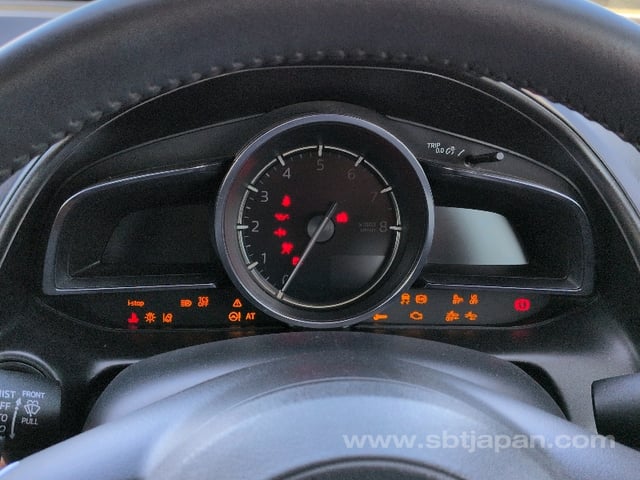 43.jpg