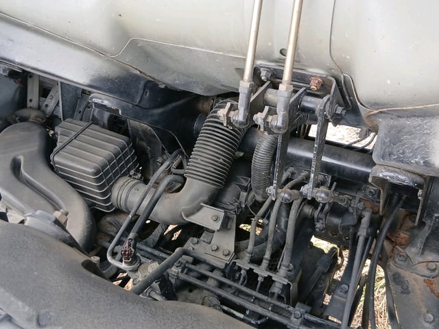 289.jpg