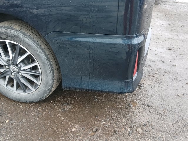 290.jpg