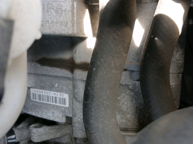 280.jpg