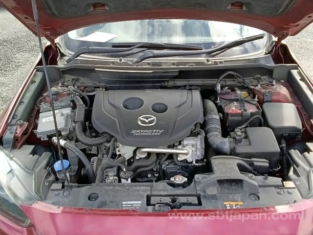 11.jpg