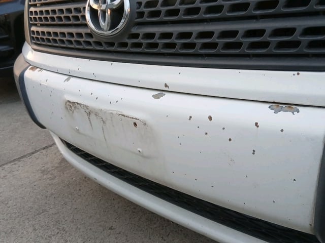280.jpg