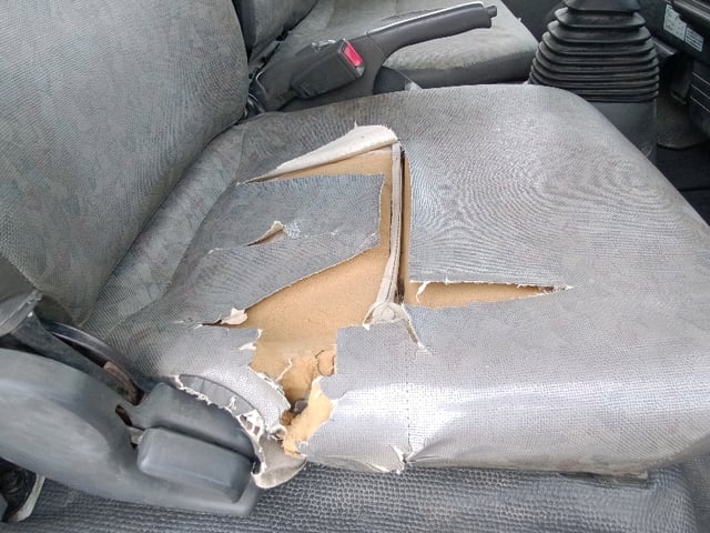 283.jpg