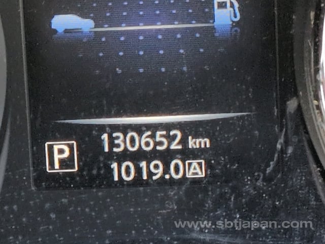 33.jpg