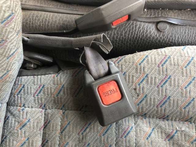 303.jpg