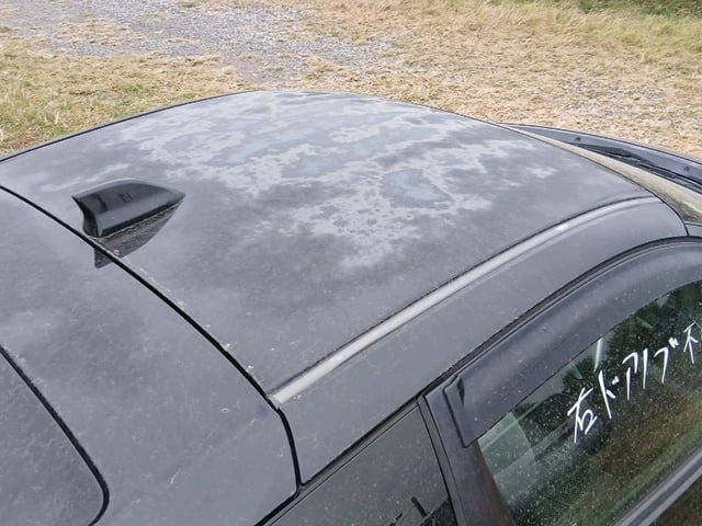 291.jpg
