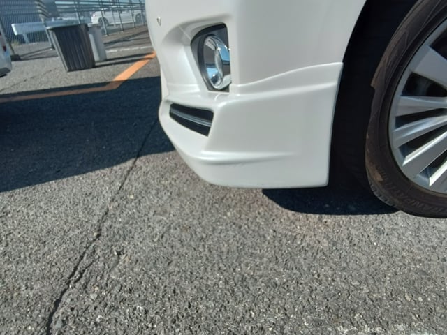 281.jpg