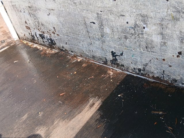 282.jpg