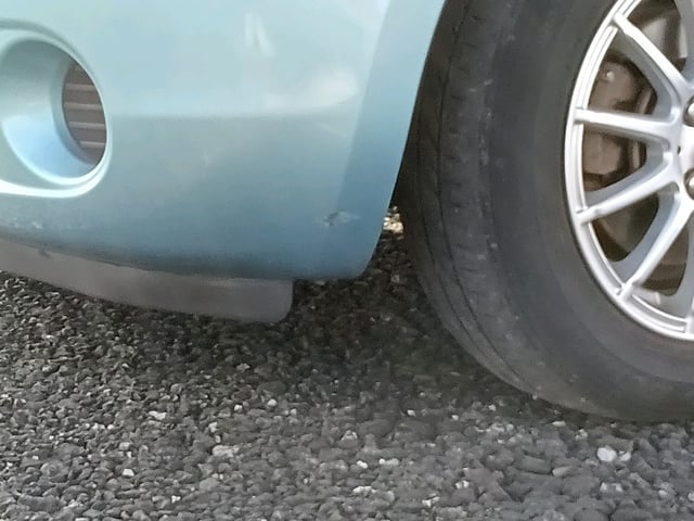 286.jpg