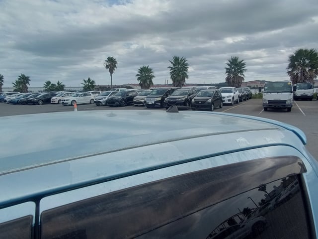 281.jpg