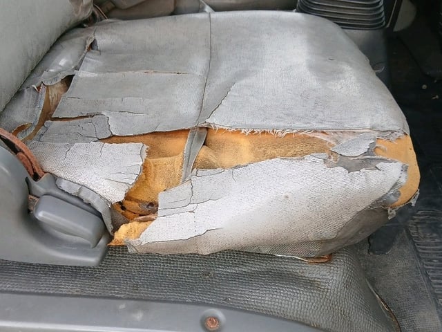280.jpg